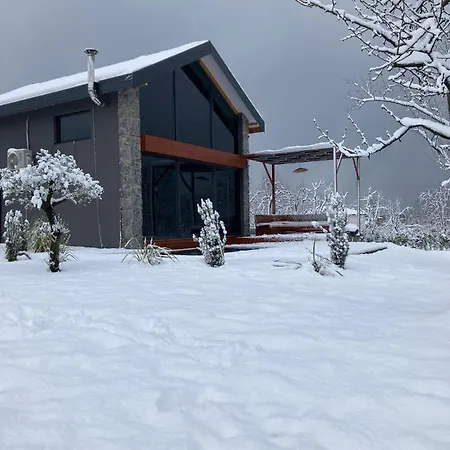 Villa Monk Livingspce